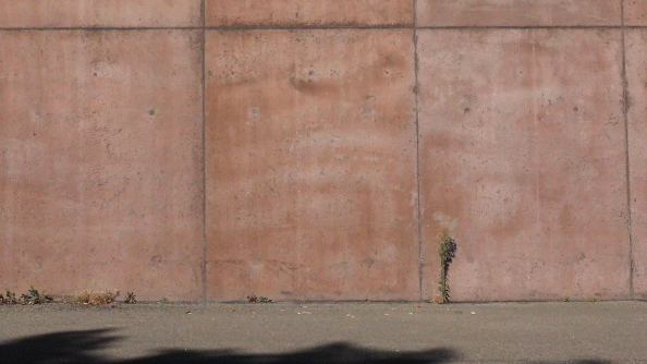 Brandle en Norta bikes Diensten: Grafische vormgeving, webdesign, copywriting, fotografie, drukwerk